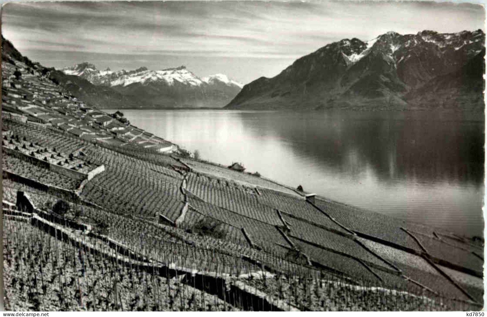 Lavaux - Sonstige & Ohne Zuordnung