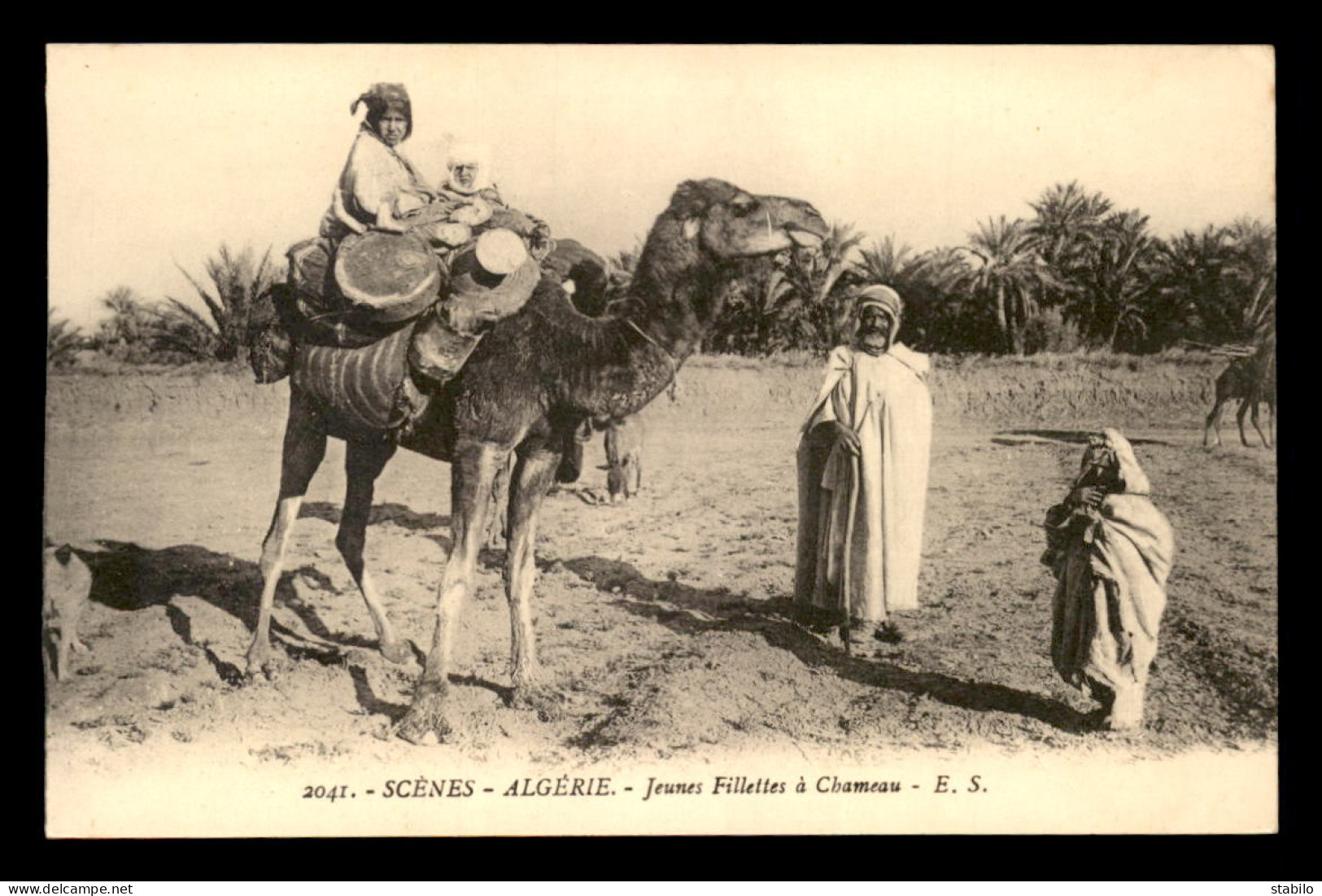 SCENES ET TYPES - ALGERIE - JEUNES FILLETTES A CHAMEAU - Scenes