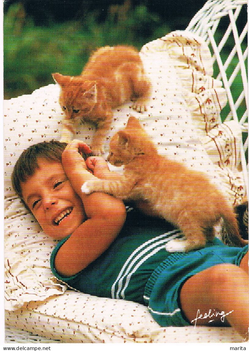 Chats Et Garcon - Cats And Child-  Jongen Met 2 Poesjes -katzen Kind - Cats