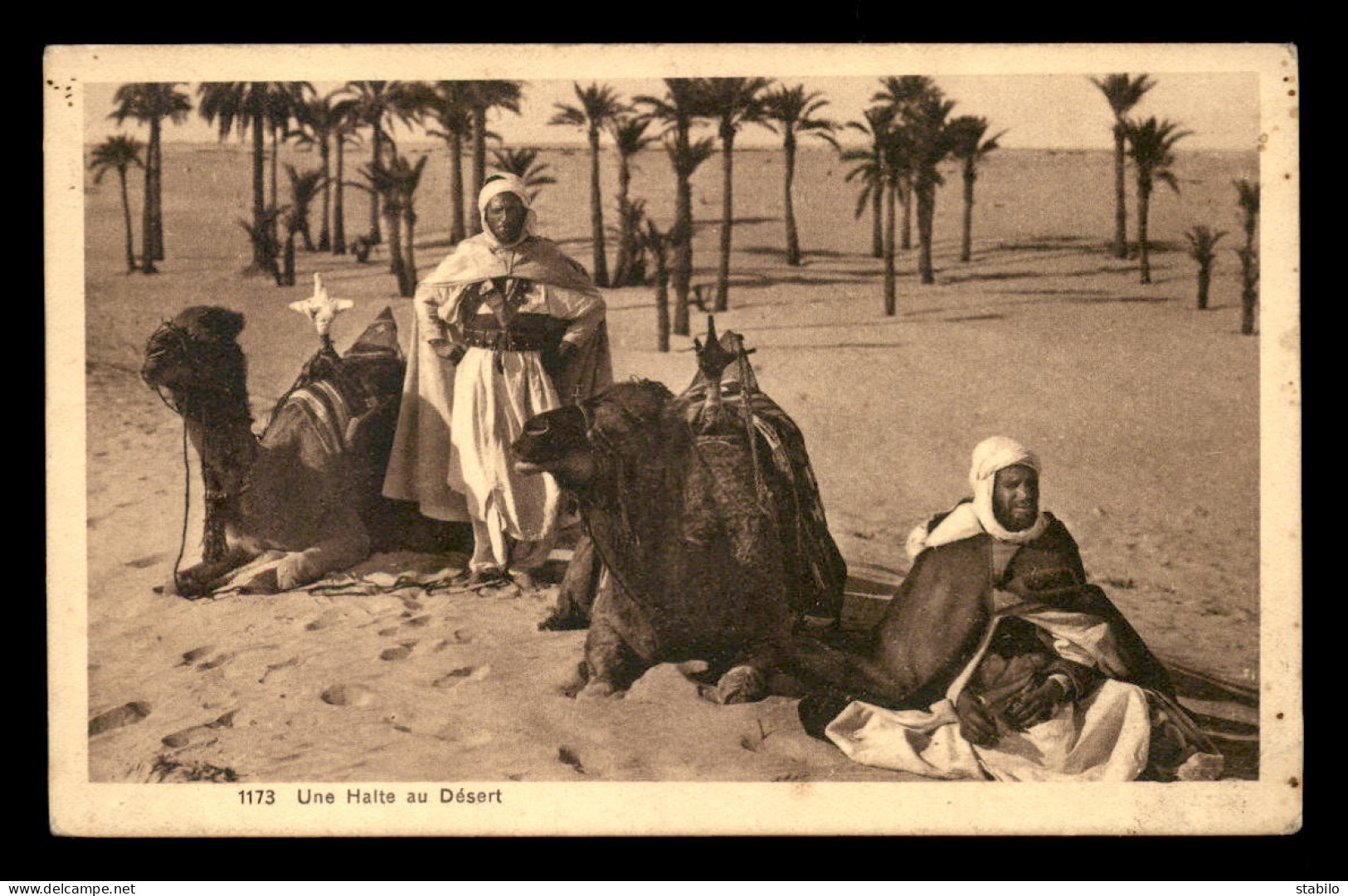 SCENES ET TYPES - ALGERIE - UNE HALTE AU DESERT - CHAMEAUX - Scènes & Types