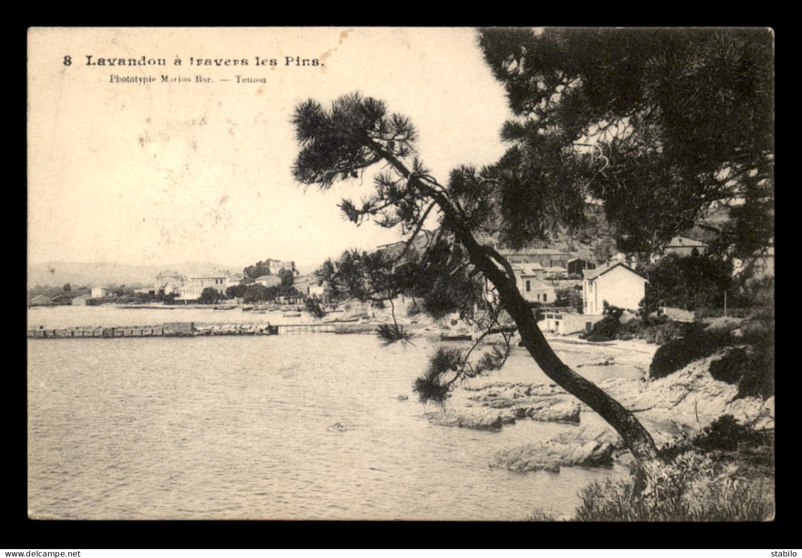 83 - LE LAVANDOU - VUE A TRAVERS LES PINS - Le Lavandou