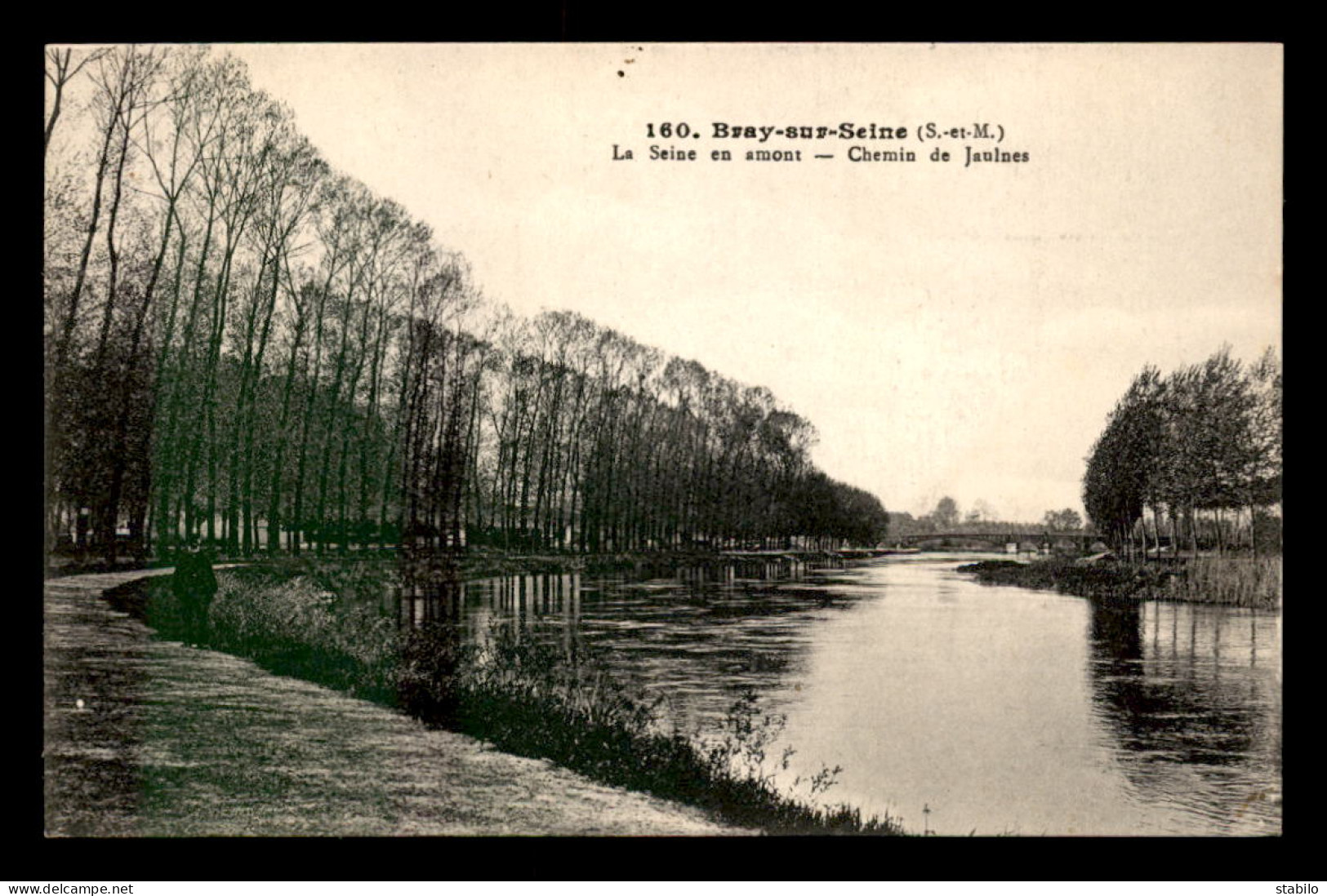 77 - BRAY-SUR-SEINE - CHEMIN DE JAULNES EN BORD DE SEINE - Bray Sur Seine