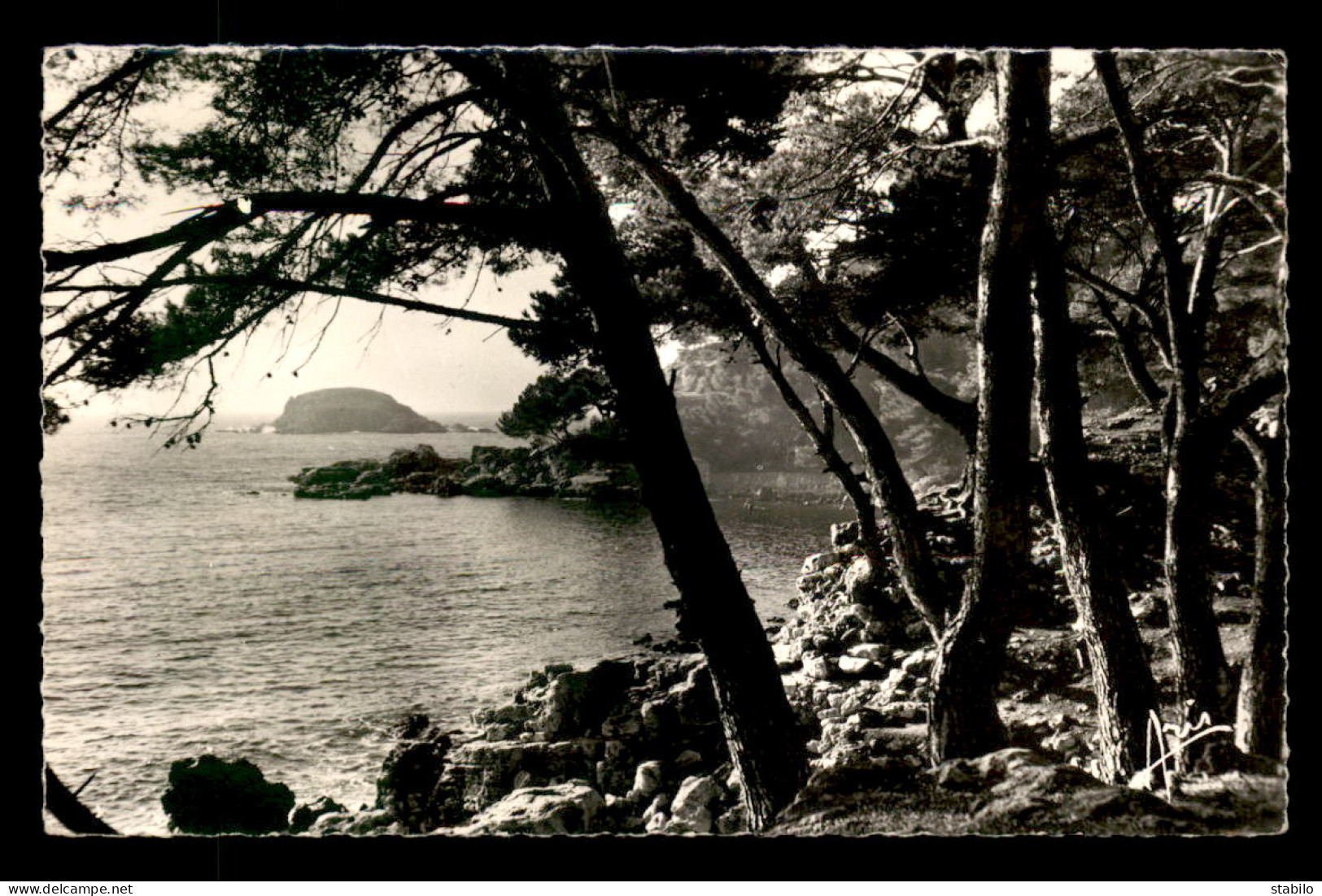 83 - BANDOL - CHEMIN DE CAPELAN - Bandol