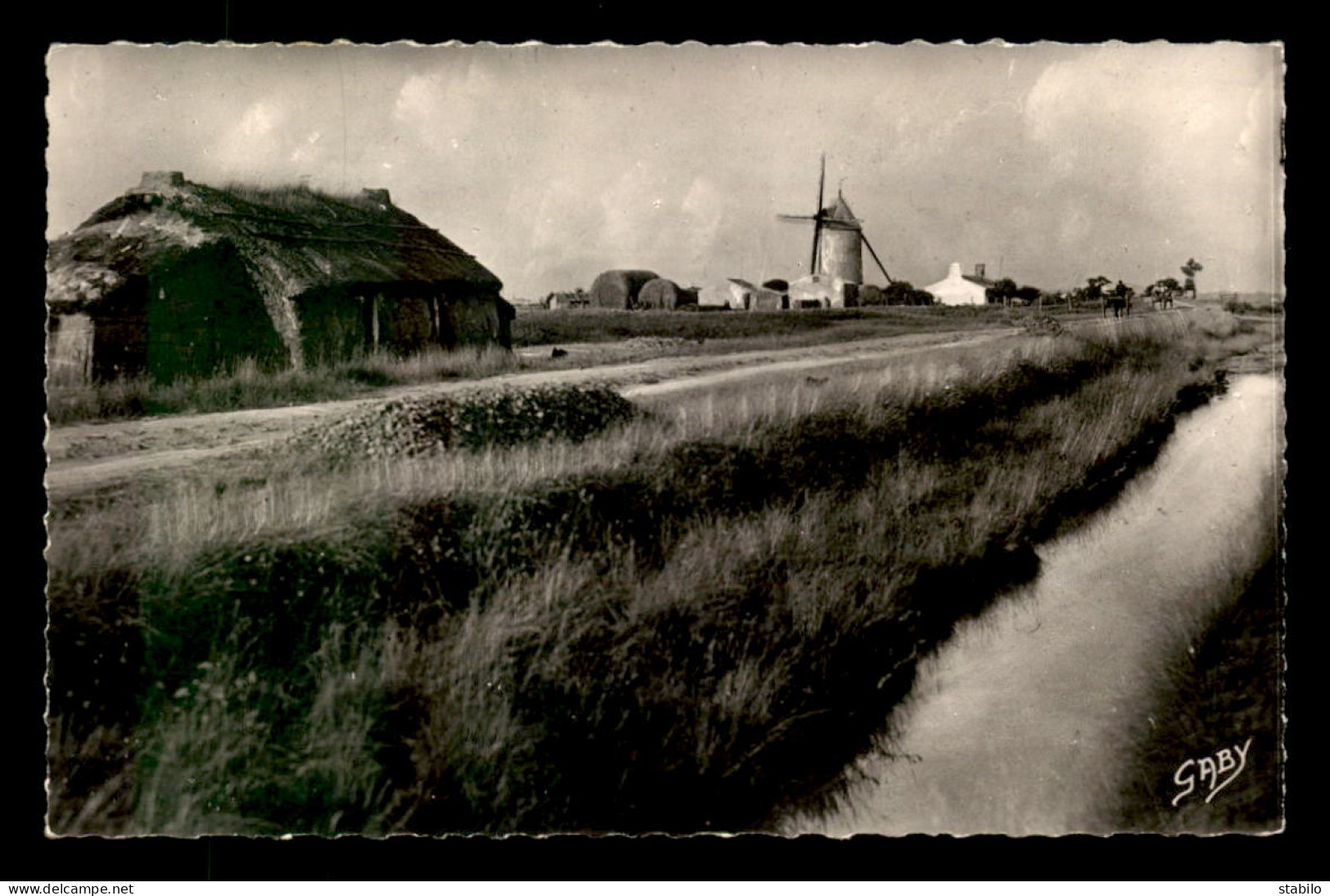 85 - ST-JEAN-DE-MONTS - MOULIN A VENT DANS LES MARAIS - Saint Jean De Monts