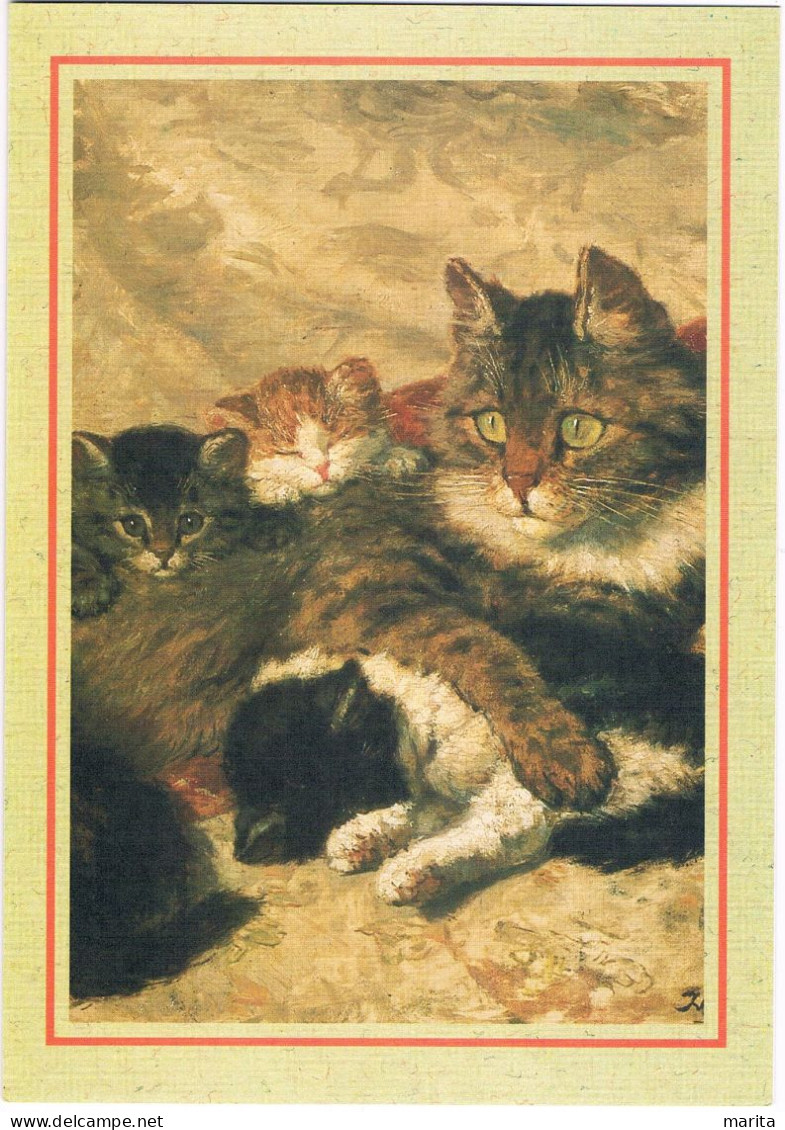 4 Chats  -kitten, Cats -katzen - Poesjes Mama En Kleintjes - Cats
