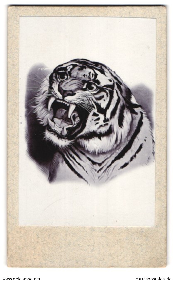 Fotografie Unbekannter Fotograf Und Ort, Gemälde: Tiger Mit Reiszähnen  - Other & Unclassified