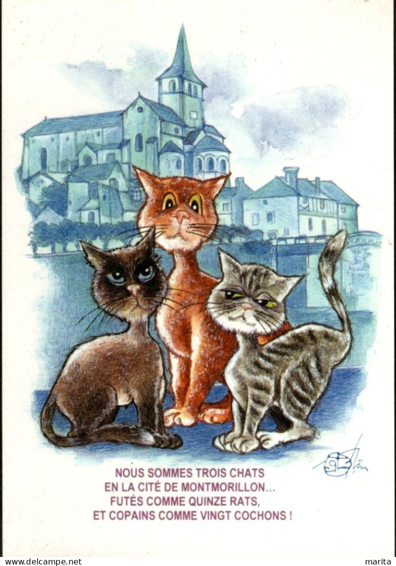 3 Chats De Montmorillon-  Cats -  Poezen -katzen - Cats