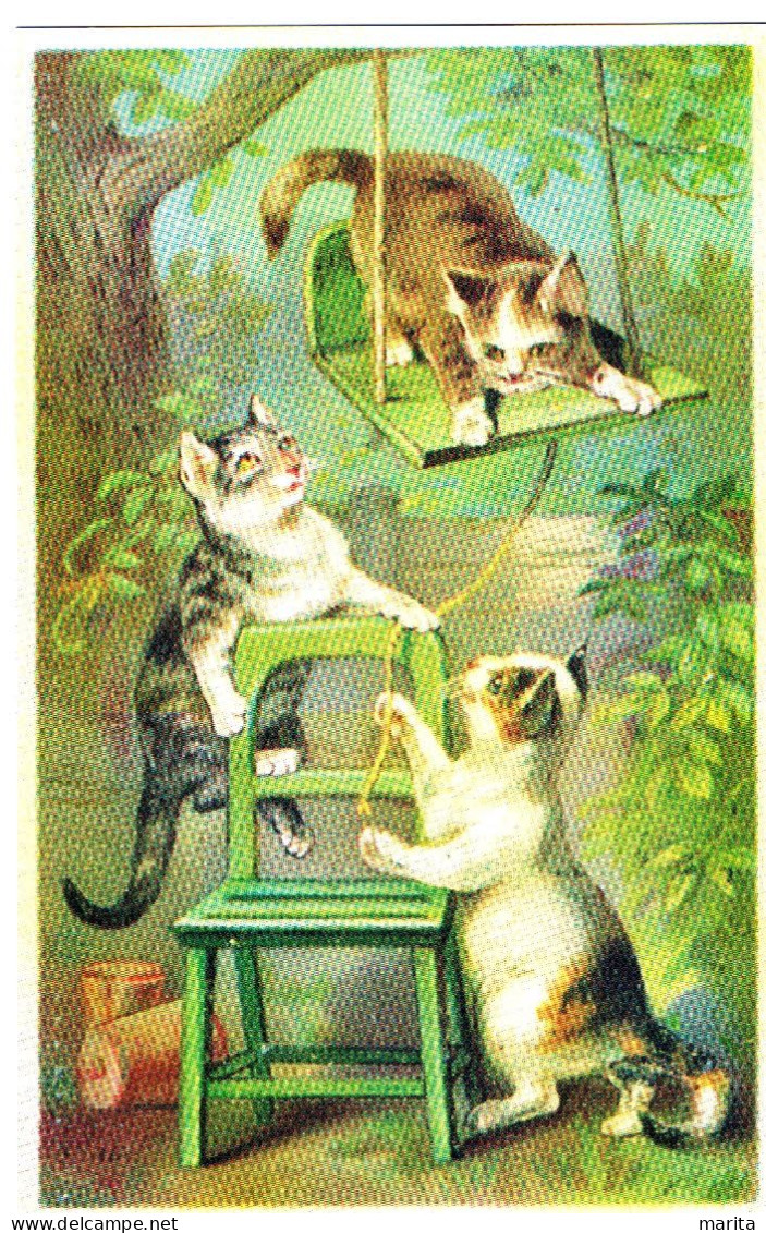 Chats - Cats -katzen - Poezen Spelen Met Schommel   -repro - Cats