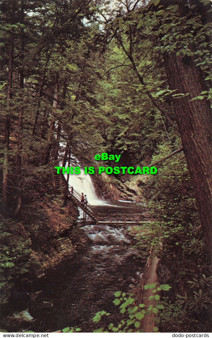 R574617 Bushkill Falls. Niagara Of Pennsylvania. Pocono Mountains. Albert W. Kos - Wereld