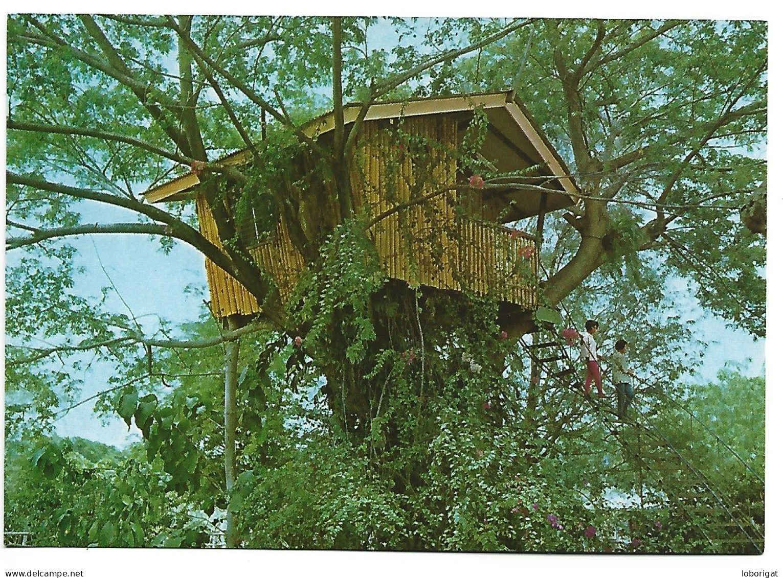 A TREE HOUSE.- ZAMBOANGA CITY.-  ( PHILIPPINES / FILIPINAS ) - Filippijnen