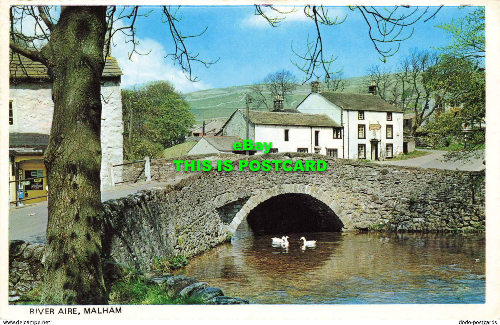 R573922 River Aire. Malham - Wereld