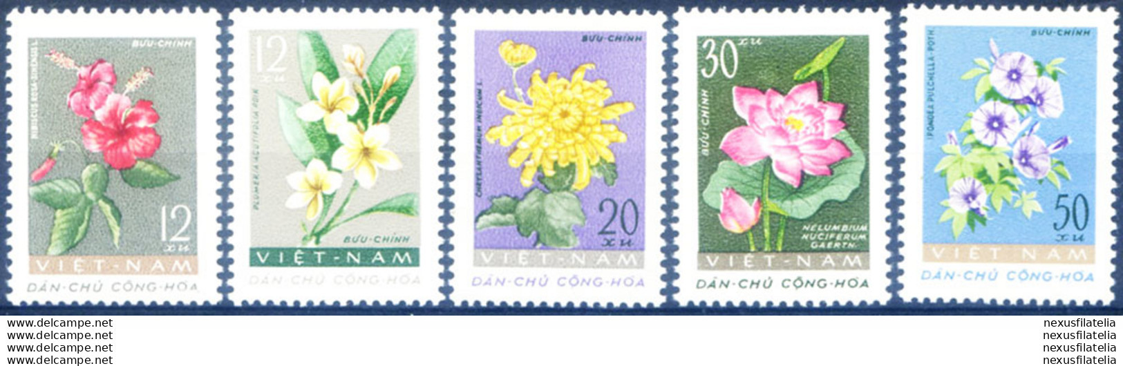 Flora. Fiori 1962. - Viêt-Nam