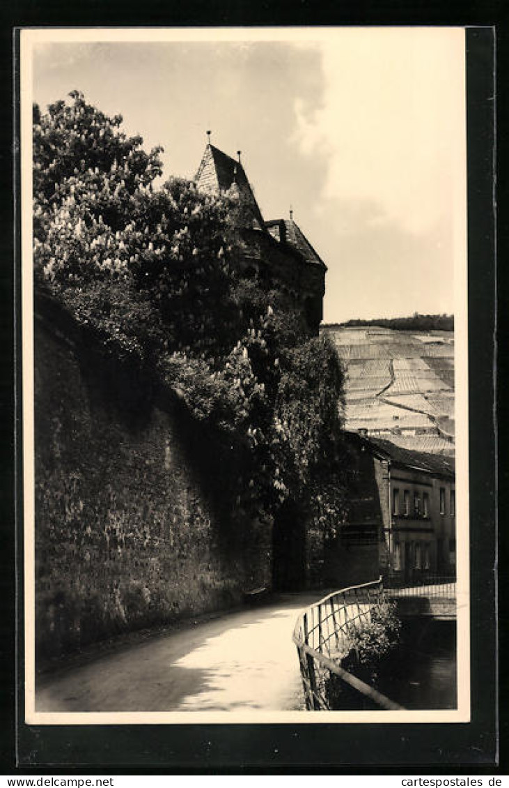 Foto-AK Ahrweiler, An Der Oberstrasse  - Autres & Non Classés