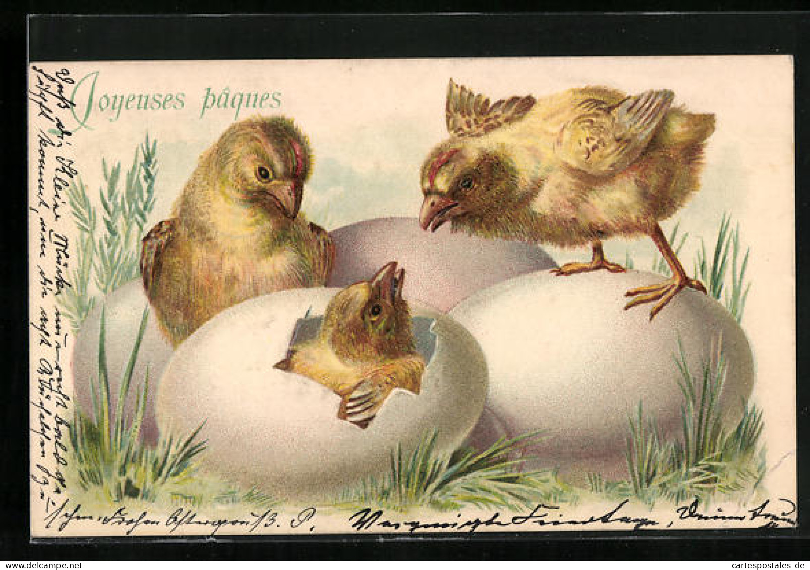 Präge-AK Ostergruss, Joyeuses Pâques, Osterküken  - Easter