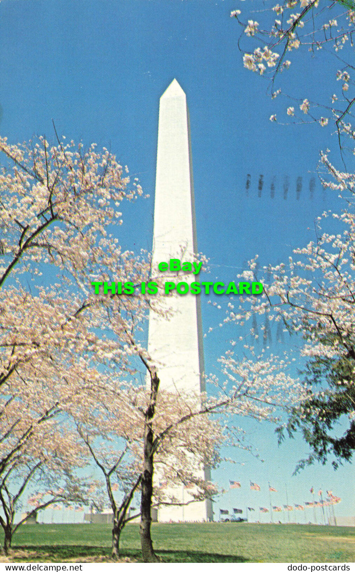 R574680 Washington. Blossoming. Cherry Trees. Silberne Souvenir Sales. 1979 - Welt