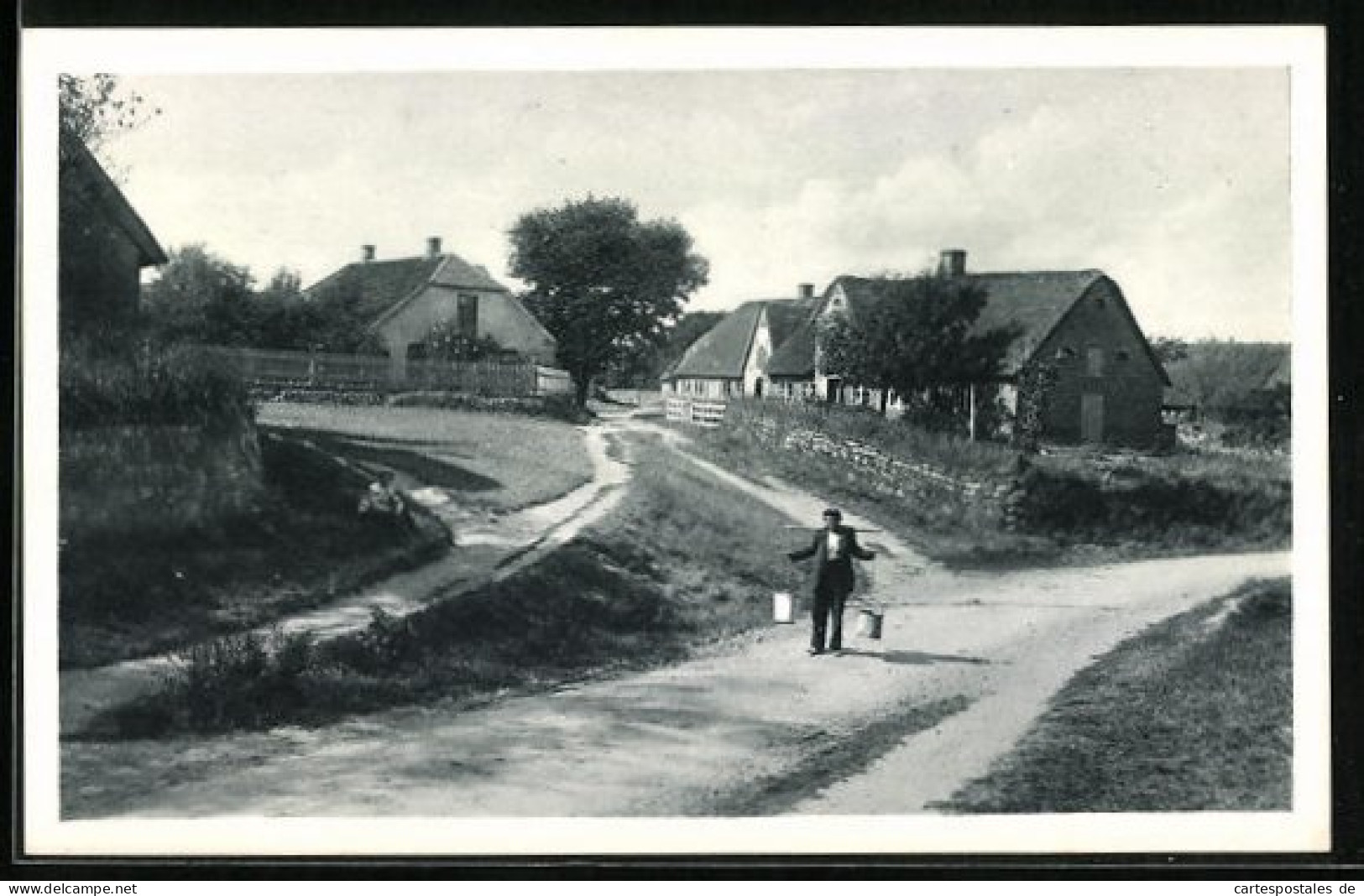 AK Keitum /Sylt, Friesenhäuser, Mann Mit Joch  - Sylt