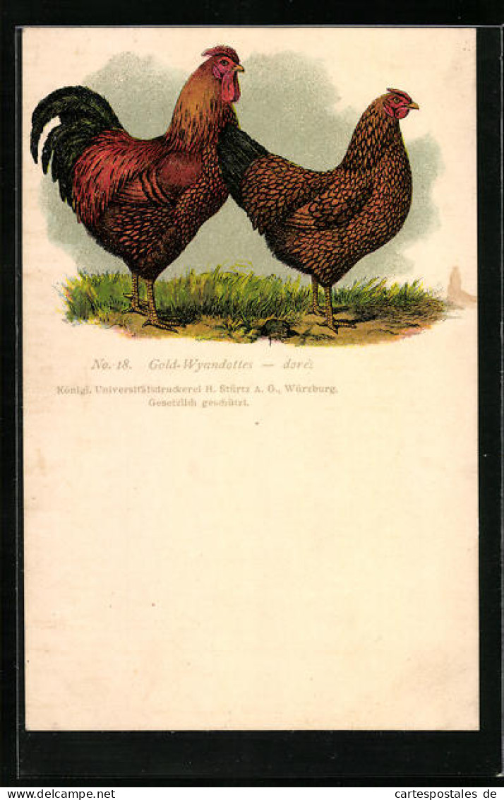 Künstler-AK Huhn Gold-Wyandottes - Dorés  - Oiseaux