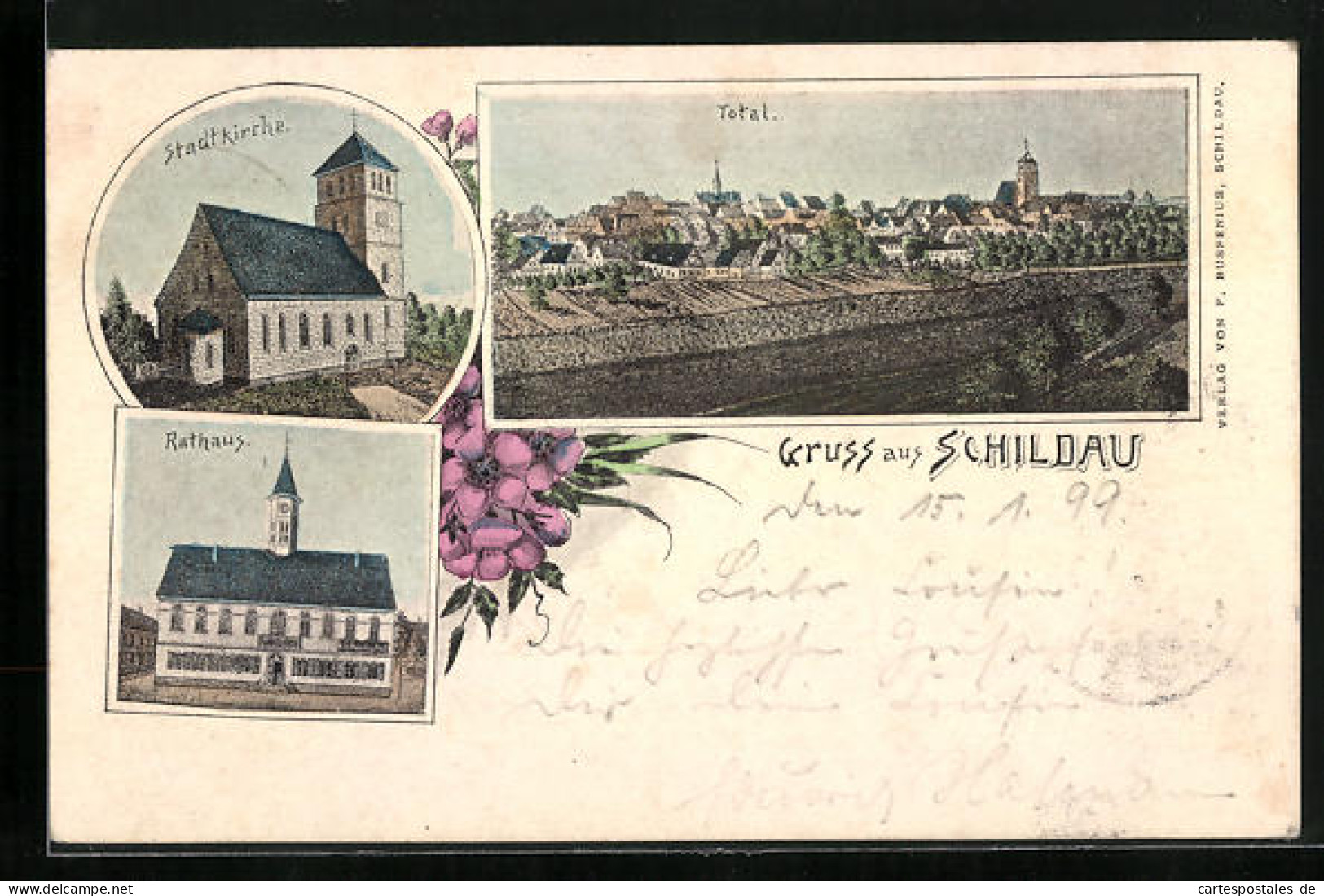 Lithographie Schildau, Rathaus, Stadtkirche, Panorama  - Other & Unclassified
