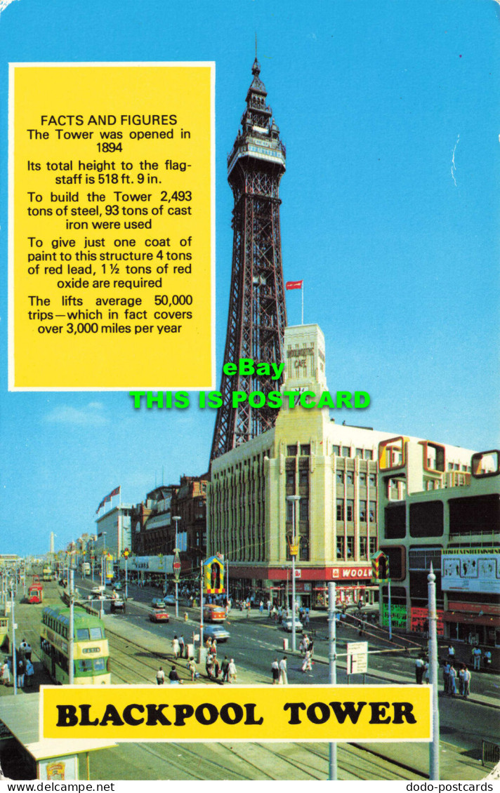 R575296 Blackpool Tower. Facts And Figures. Colourmaster International. Precisio - World