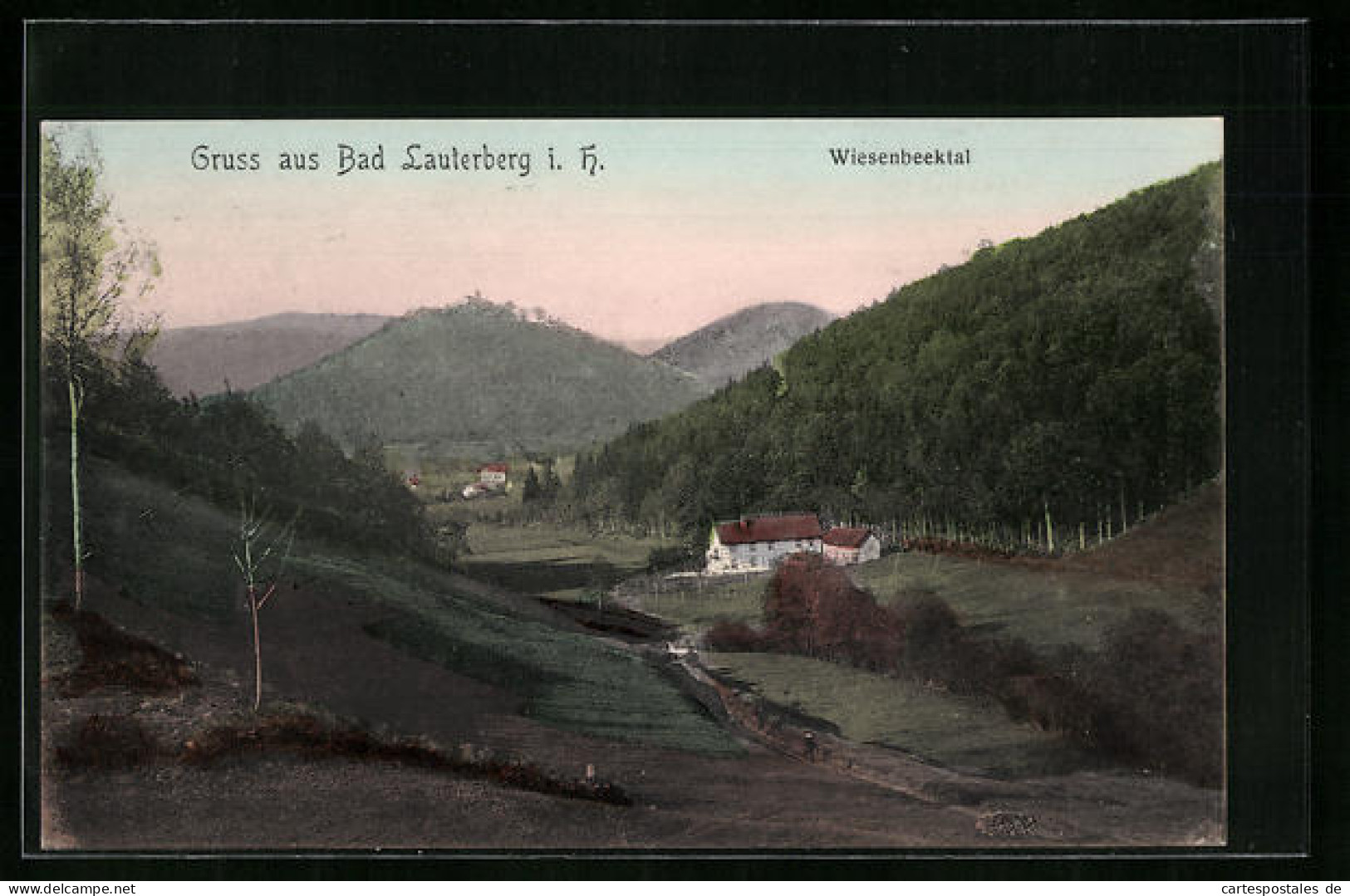 AK Bad Lauterberg I. Harz, Wiesenbecktal  - Bad Lauterberg