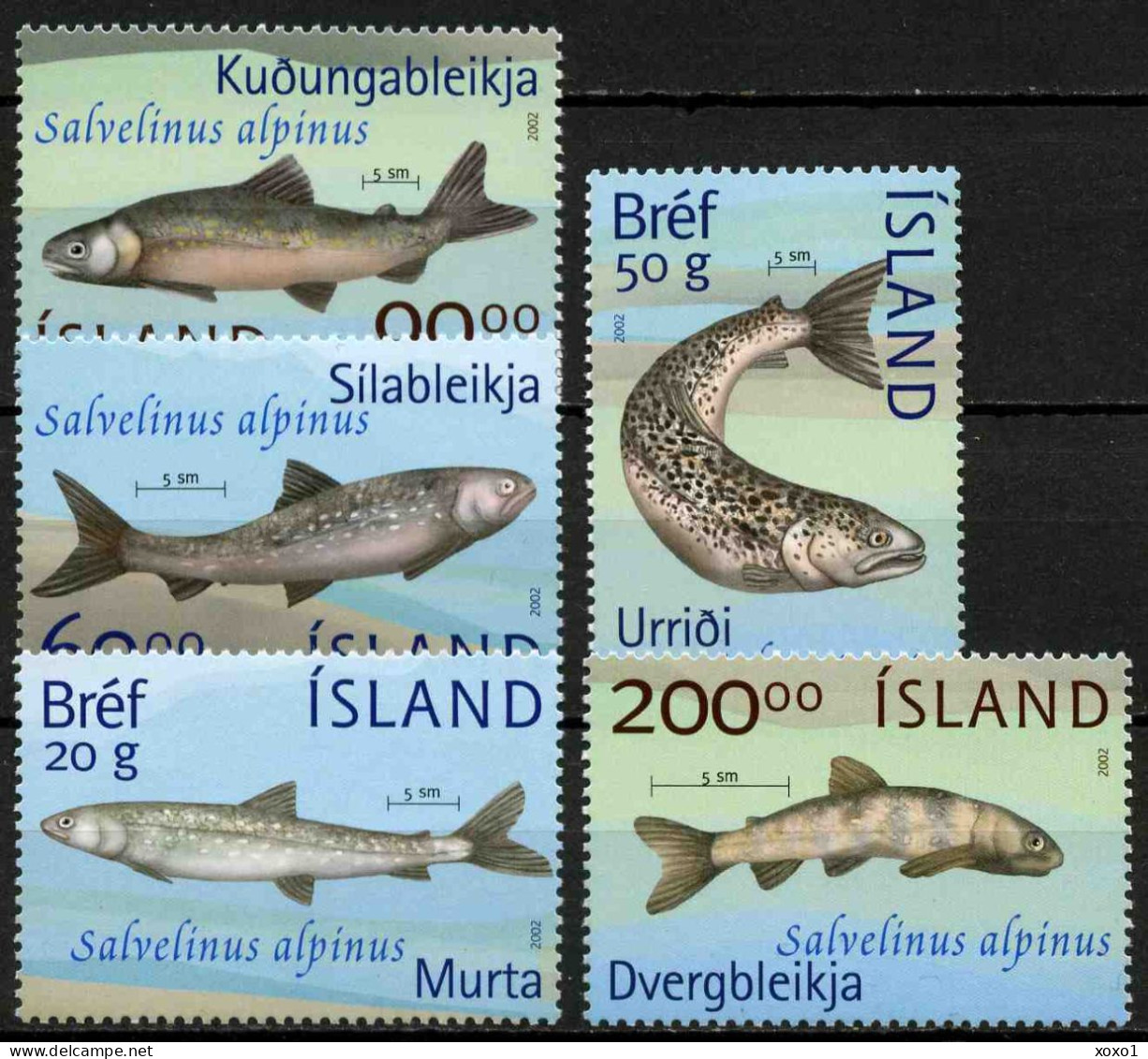 Iceland 2002 MiNr. 1012 - 1016 Island  Marine Life, Fishes 5v MNH**  15,00 € - Andere & Zonder Classificatie