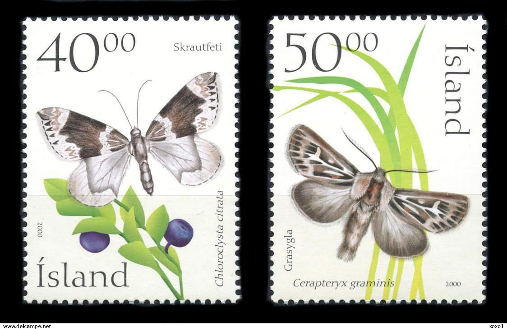 Iceland 2000 MiNr. 963 - 964 Island  Insects, Butterflies  2v  MNH**  3.00 € - Papillons
