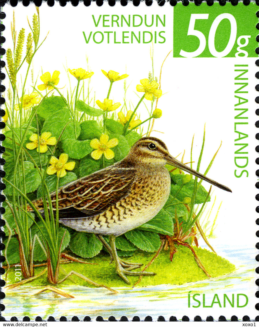Iceland 2011 MiNr. 1326 Island Birds The Common Snipe 1v MNH** 1,20 € - Autres & Non Classés