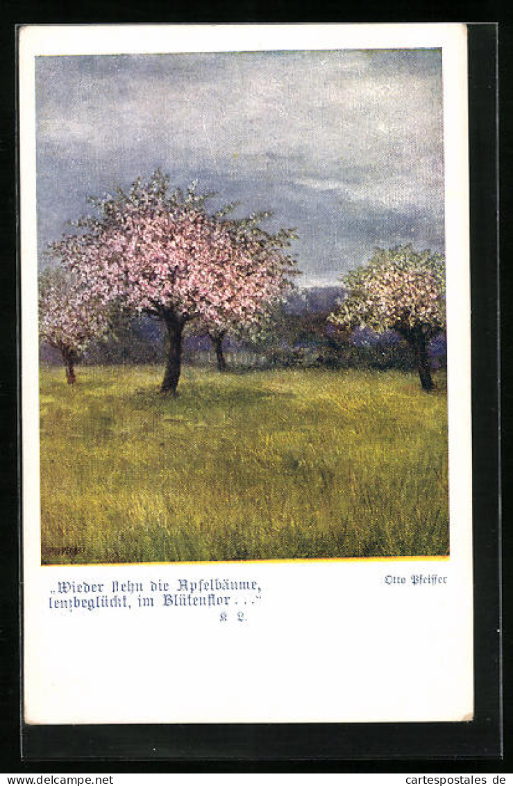 AK Deutscher Schulverein Nr. 1384: Wieder Stehn Die Apfelbäume Lenzbeglückt Im Blütenflor  - Guerre 1914-18
