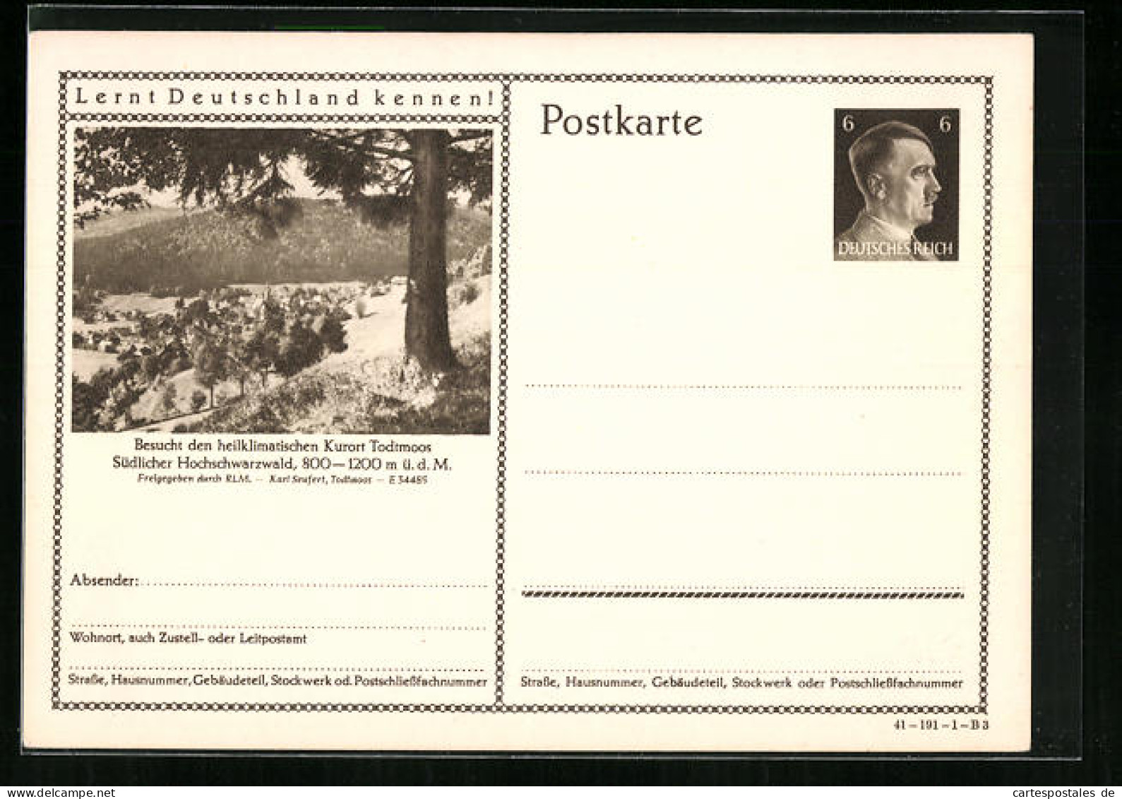 AK Todtmoss /Schwarzwald, Teilansicht Mit Baum, Ganzsache Lernt Deutschland Kennen  - Postkarten
