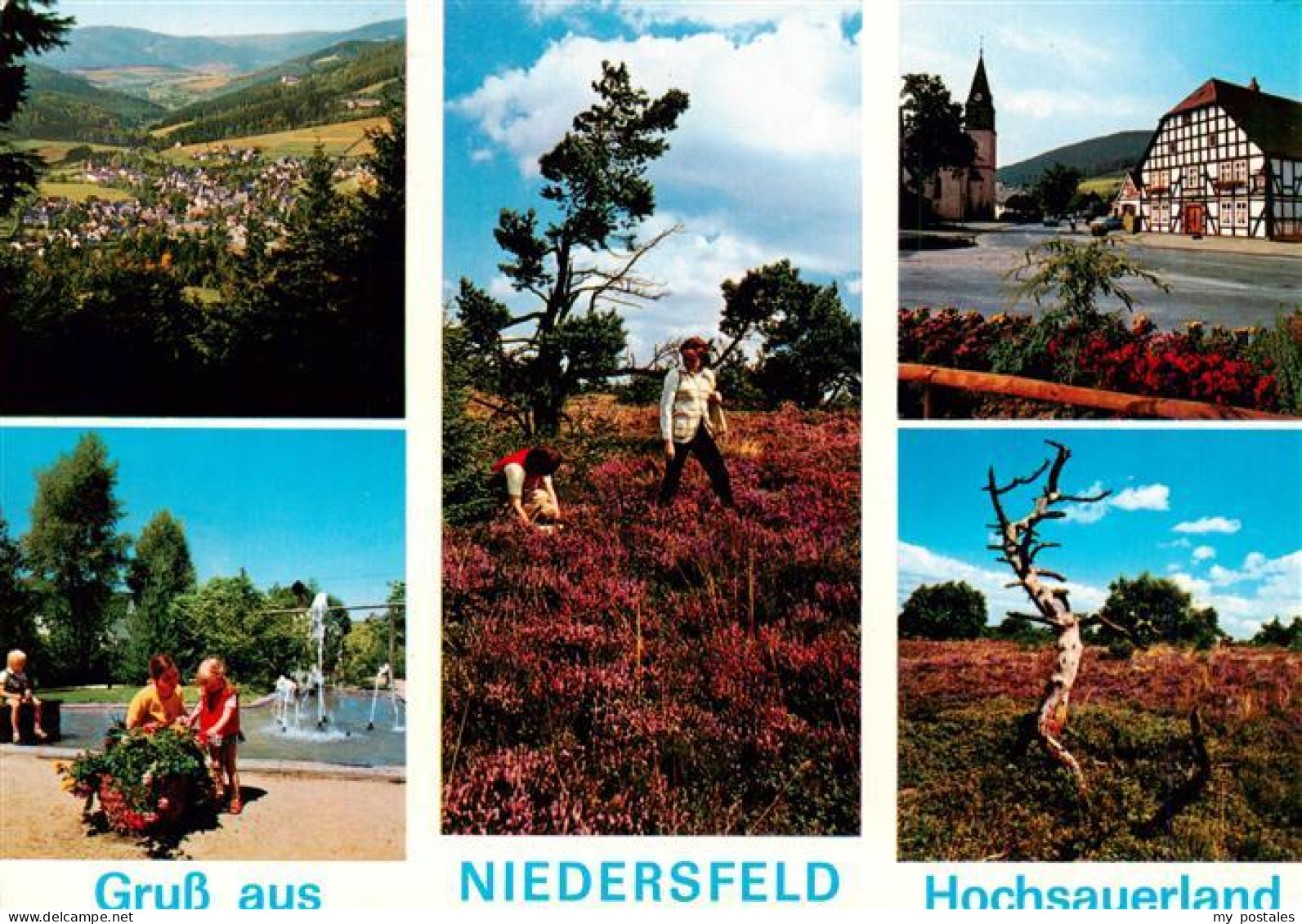 73942555 Niedersfeld_Winterberg Panorama Heidelandschaft Fachwerkhaus Schwimmbad - Winterberg