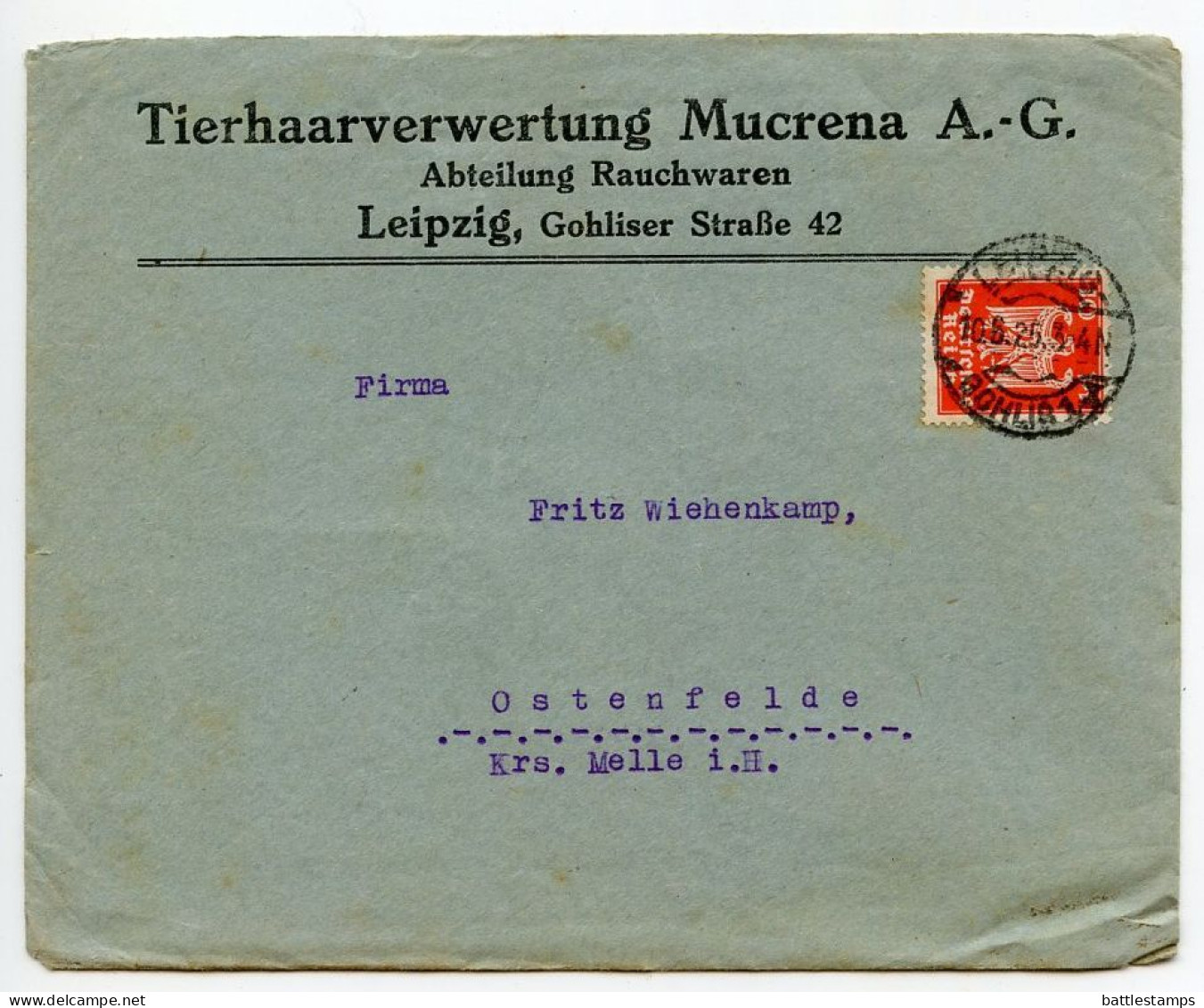 Germany 1925 Cover & Auction Forms; Leipzig - Tierhaarverwertung Mucrena A.-G.; 10pf. German Eagle - Cartas & Documentos