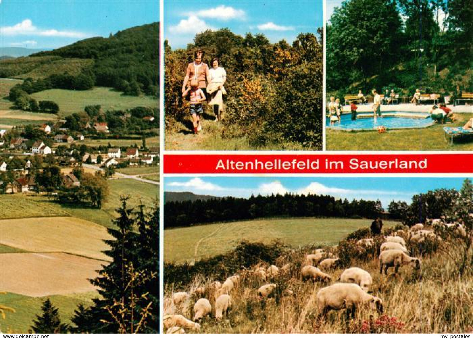 73942420 Altenhellefeld Panorama Pool Schafherde - Sundern