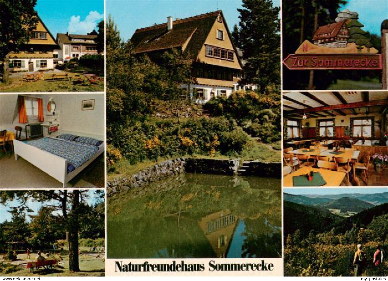 73942322 Kirnbach_Wolfach Naturfreundehaus Sommerecke Gastraum Zimmer Park Teich - Wolfach