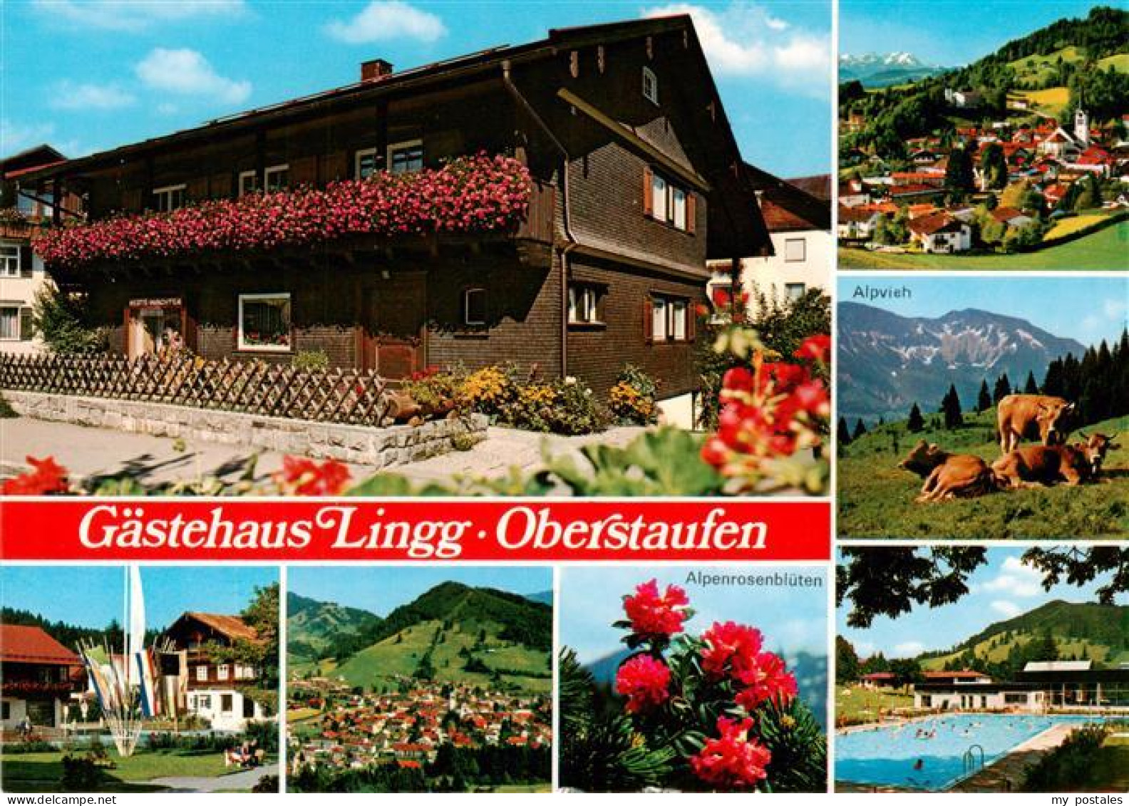 73901356 Oberstaufen Gaestehaus Lingg Panorama Alpenrosen Alpvieh Schwimmbad Obe - Oberstaufen