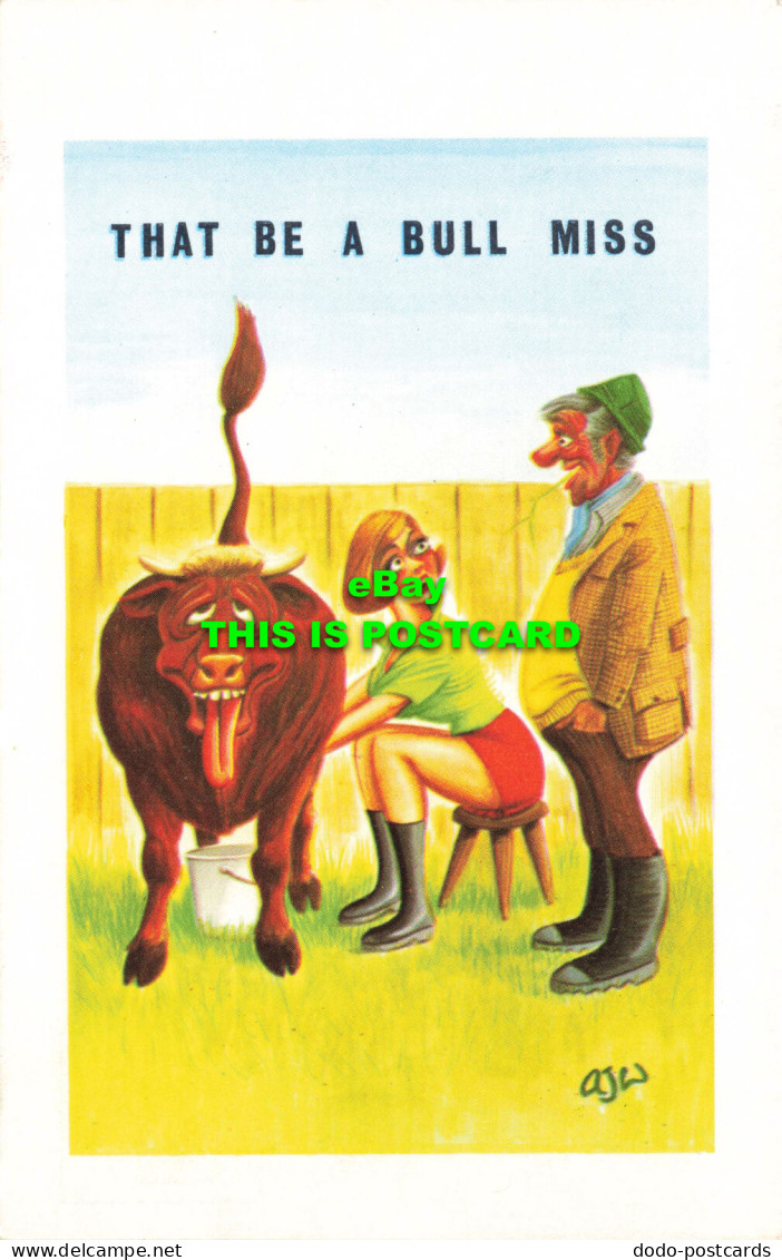 R575165 That Be A Bull Miss. Giggle Cards. 5057 - World