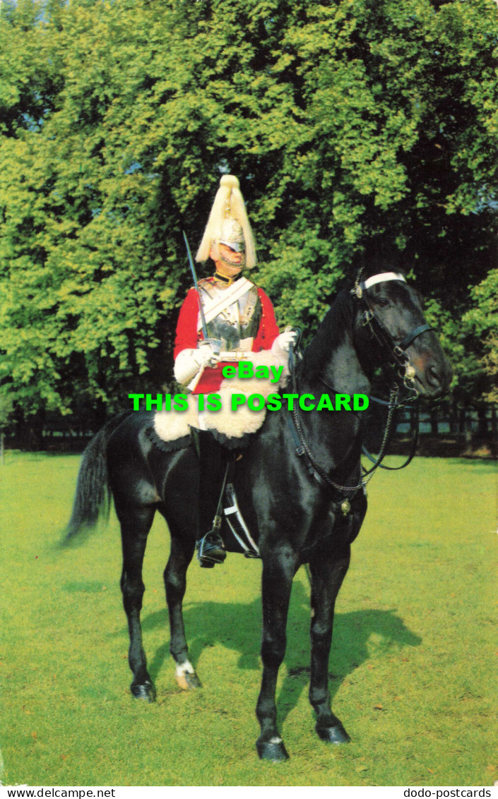 R575166 Mounted Life Guard. Hyde Park. London - Autres & Non Classés