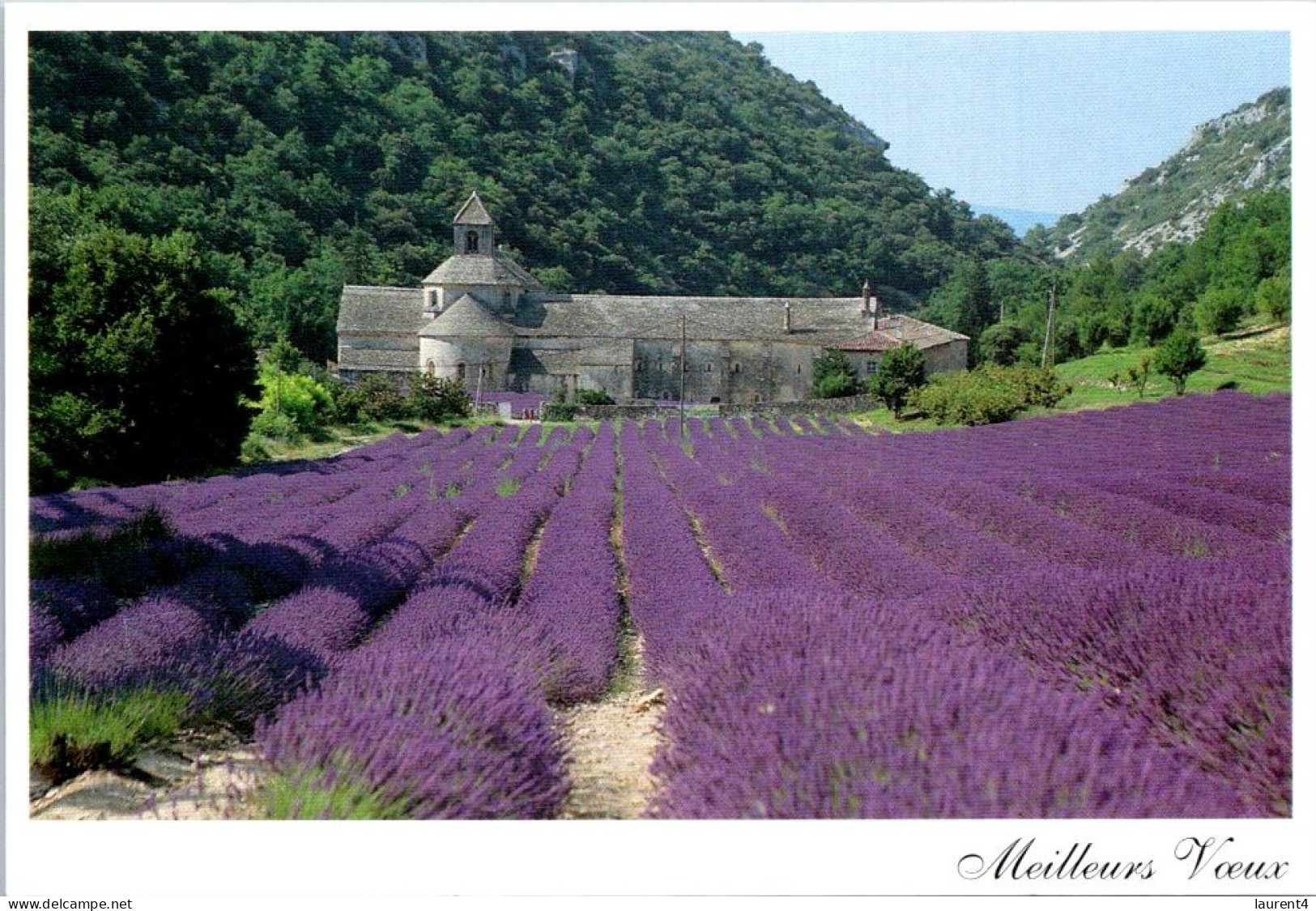 2-5-2024 (3 Z 36) Lavender Field & Church - Eglises Et Cathédrales