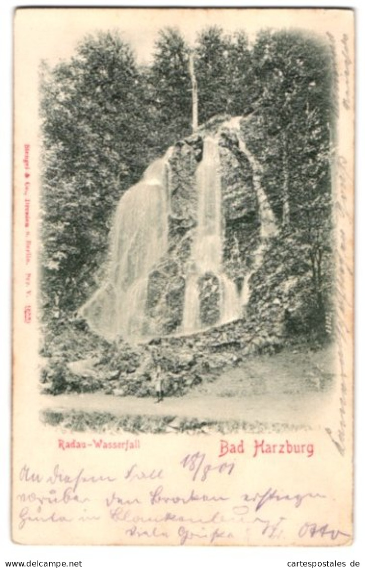 Relief-AK Bad Harzburg, Am Radau-Wasserfall  - Andere & Zonder Classificatie