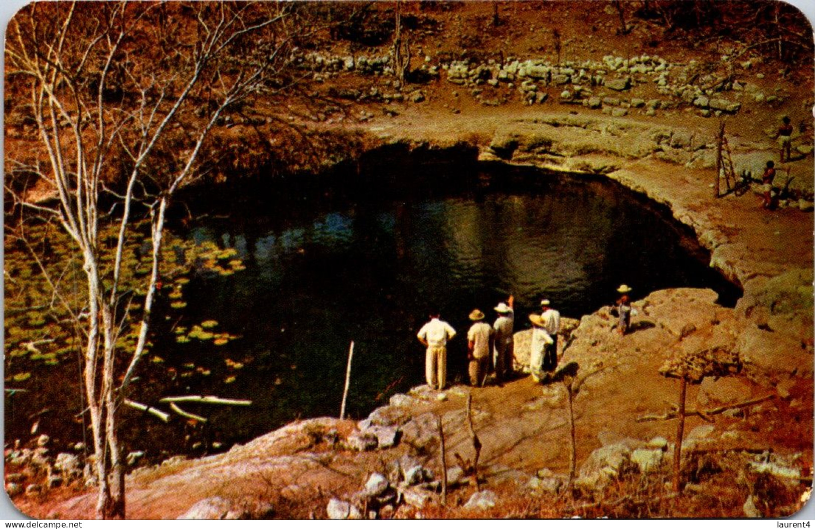 2-5-2024 (3 Z 36) Mexico - Yucatan Cenote De Xlaka - Mexico