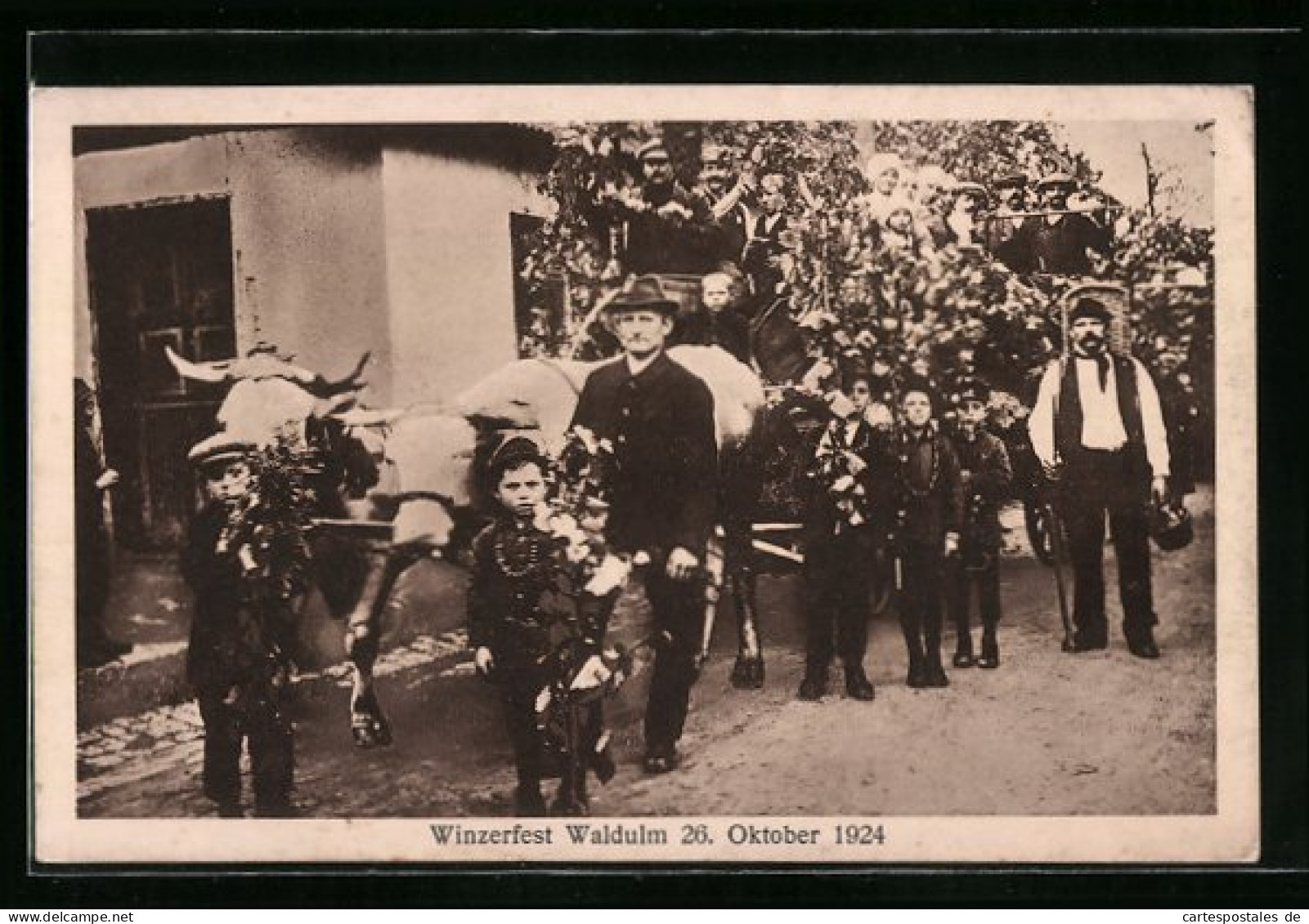 AK Waldulm, Festwagen Mit Teilnehmern Beim Winzerfest 1924, Ochsengespann  - Viñedos