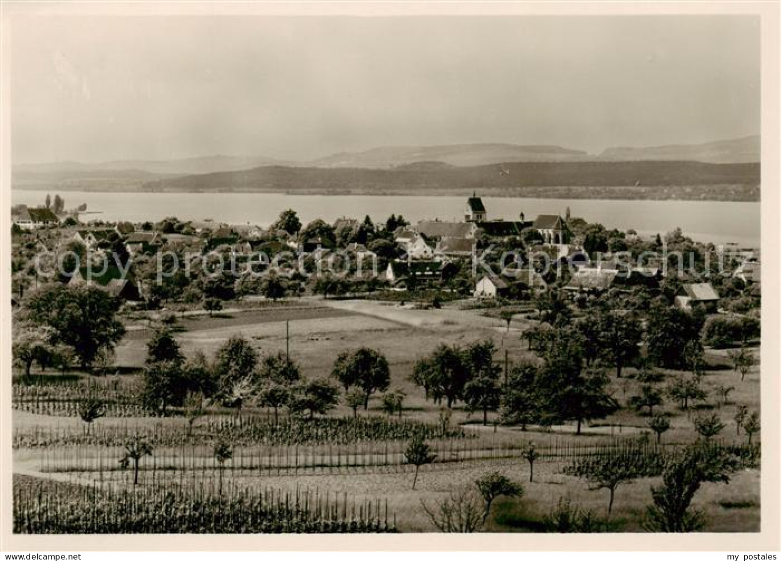 73829342 Mittelzell Reichenau Panorama Mit Gnadensee  - Andere & Zonder Classificatie