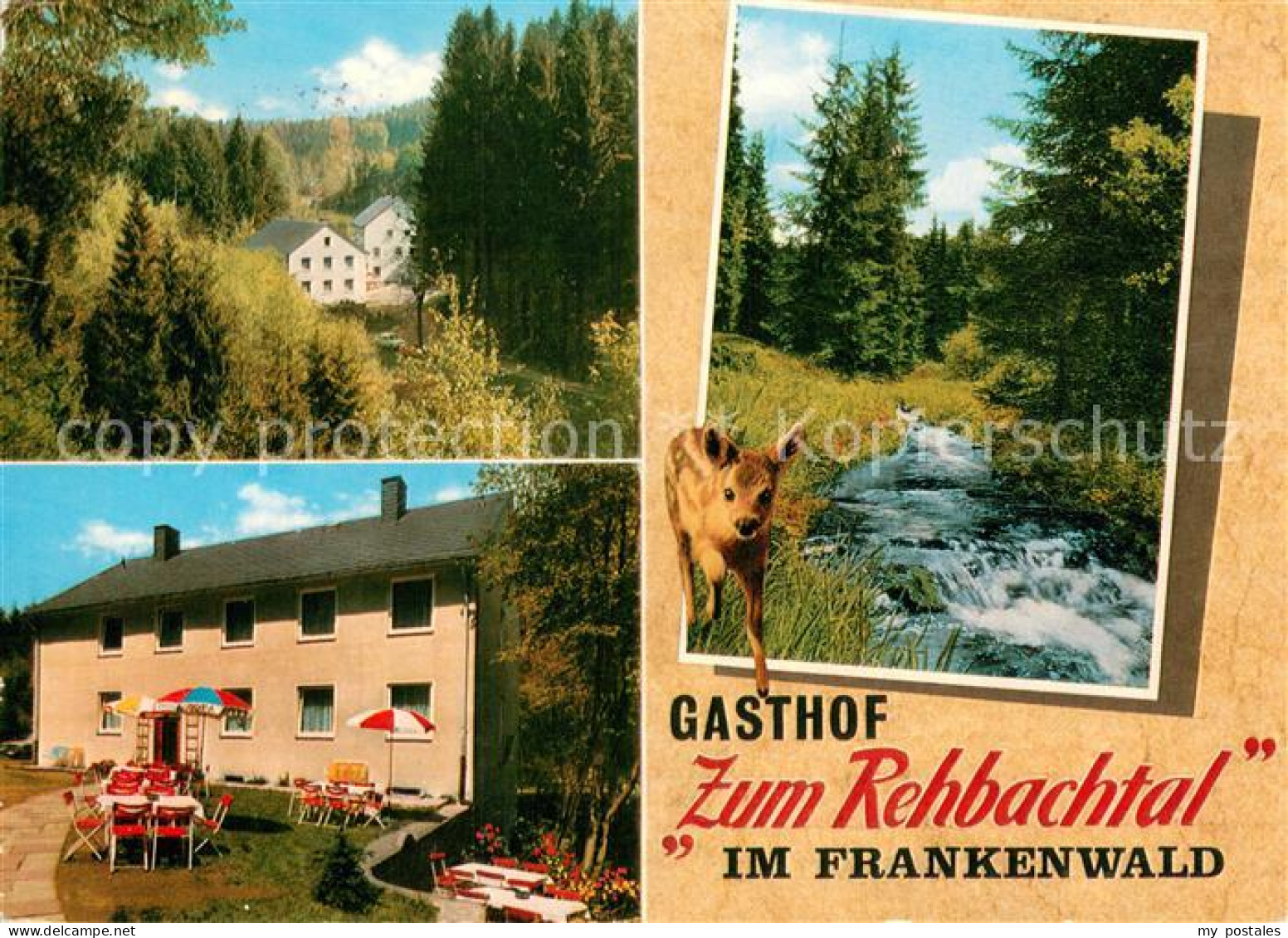 73755060 Grafengehaig Gasthof Zum Rehbachtal Gartenterrasse Baechlein Grafengeha - Autres & Non Classés