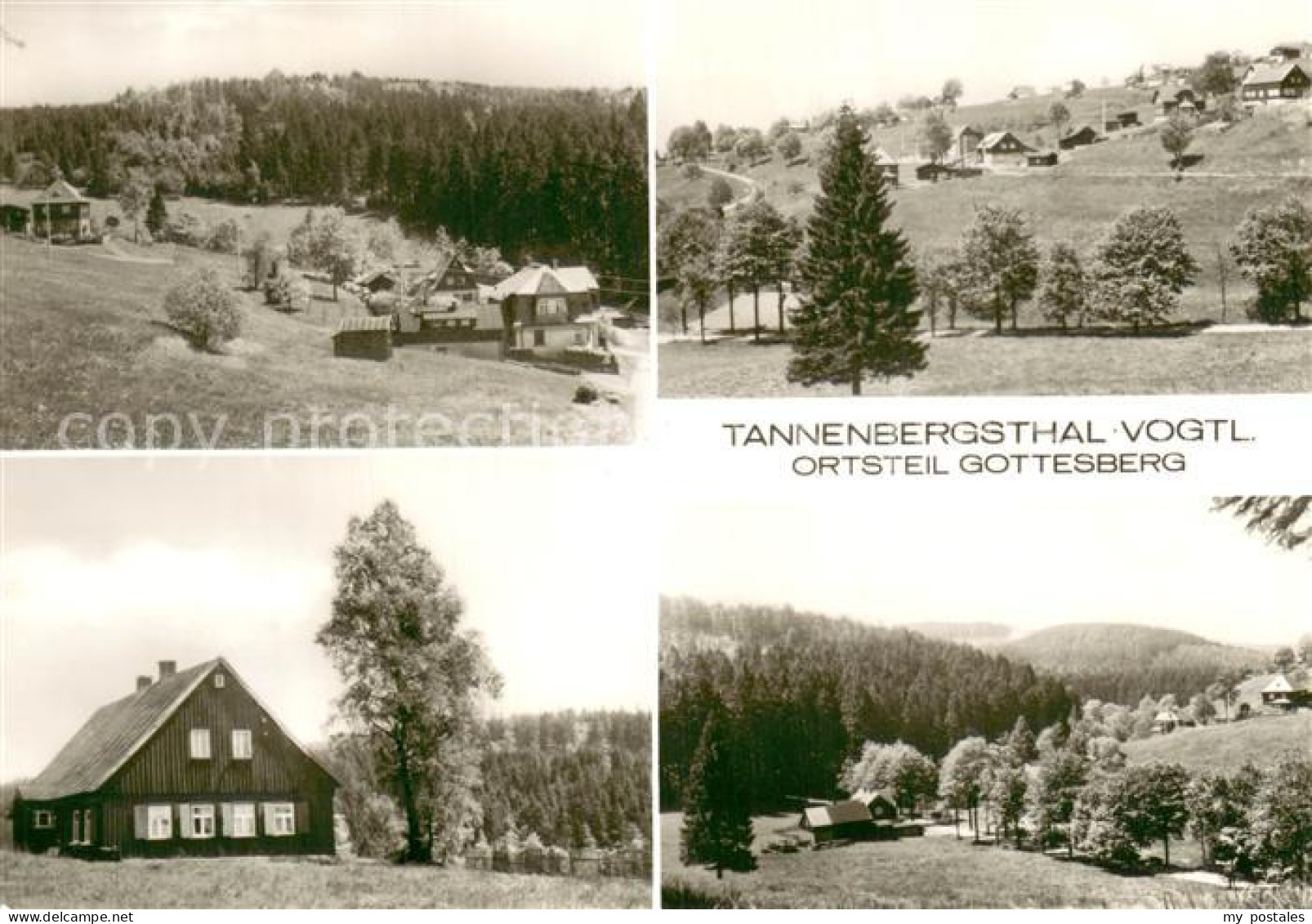 73754369 Gottesberg Tannenbergsthal Teilansichten Landschaft Gottesberg - Autres & Non Classés