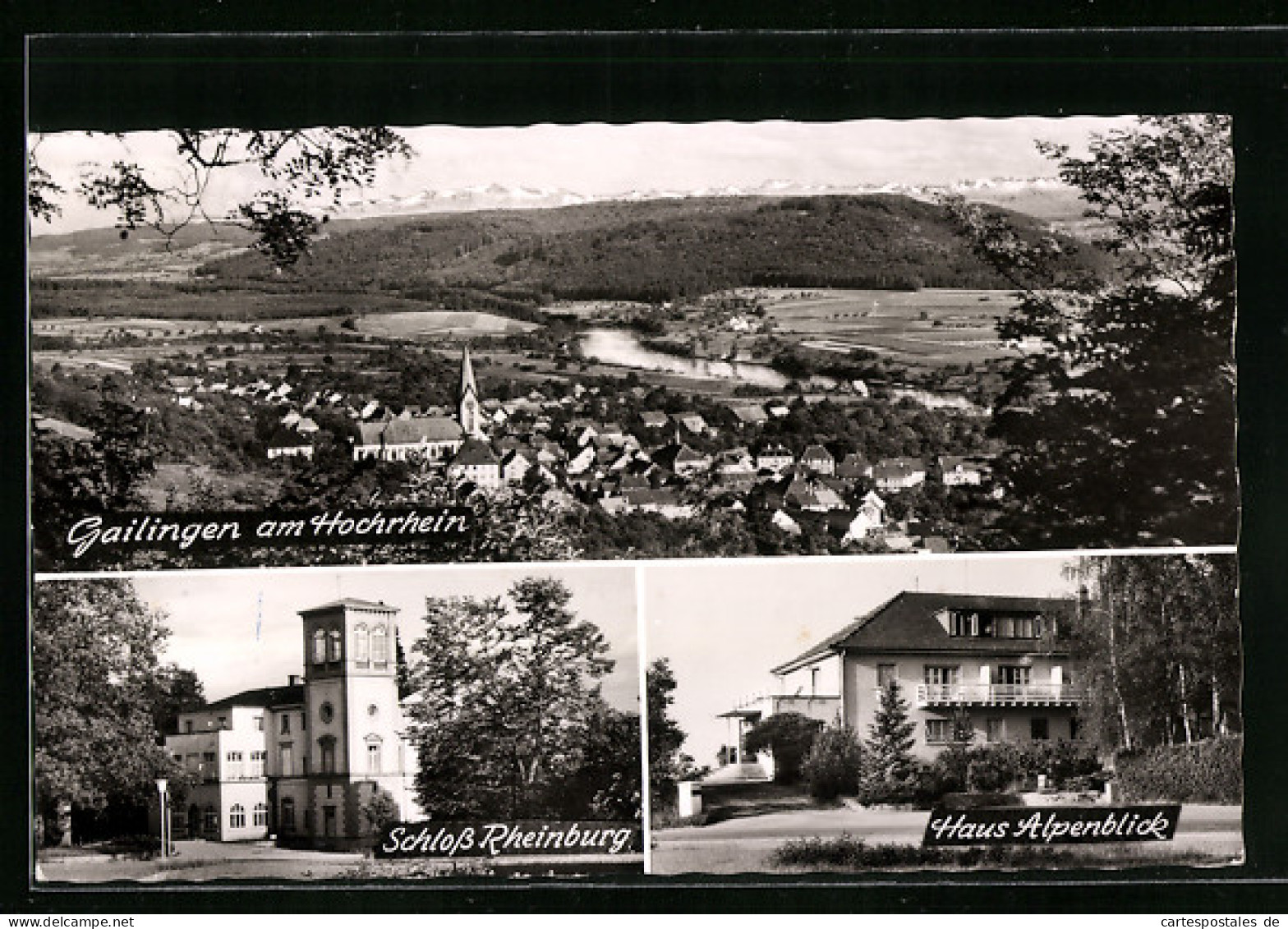 AK Gailingen Am Hochrhein, Schloss Rheinsburg Und Haus Alpenblick  - Andere & Zonder Classificatie