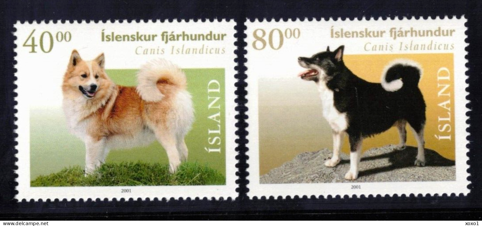Iceland 2001 MiNr. 977 - 978 Island Mammals, Pets, Dogs, Icelandic Spitz 2v MNH** 4.00 € - Chiens