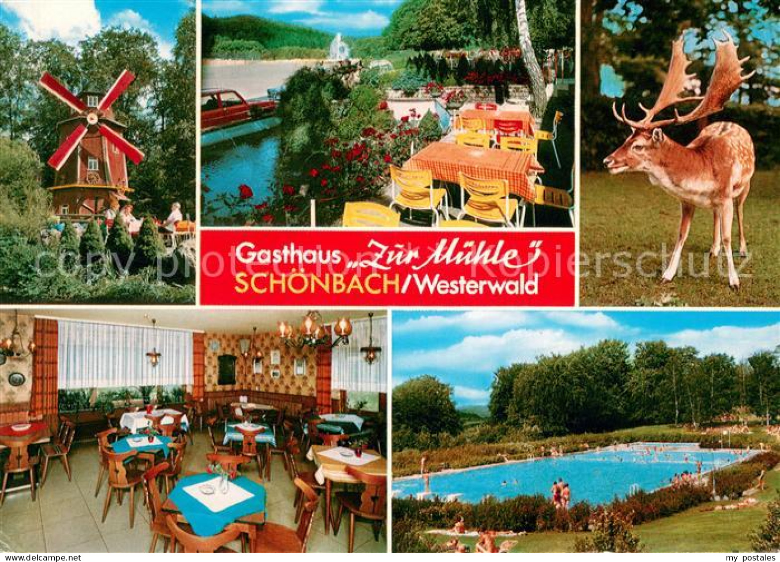 73646013 Schoenbach Dillkreis Gasthaus Zur Muehle Im Westerwald Restaurant Terra - Herborn