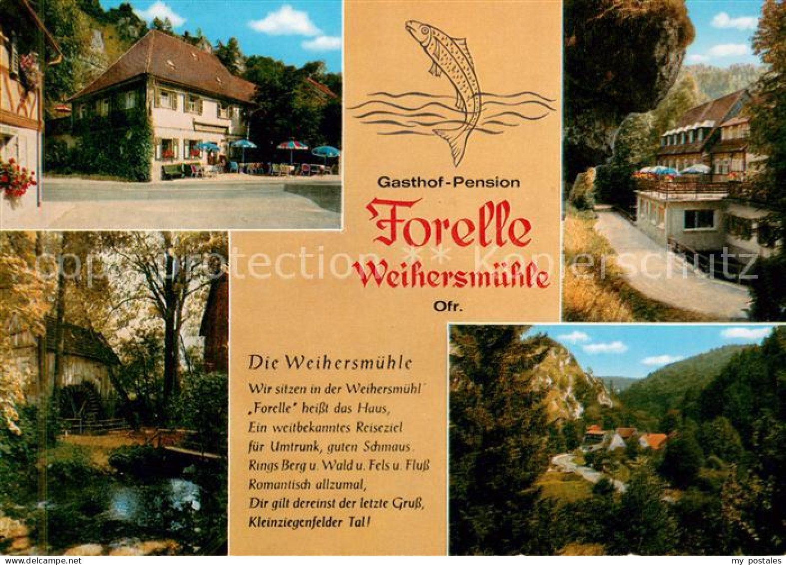 73645977 Weihersmuehle Weismain Gasthof Pension Forelle Panorama Kleinziegenfeld - Autres & Non Classés