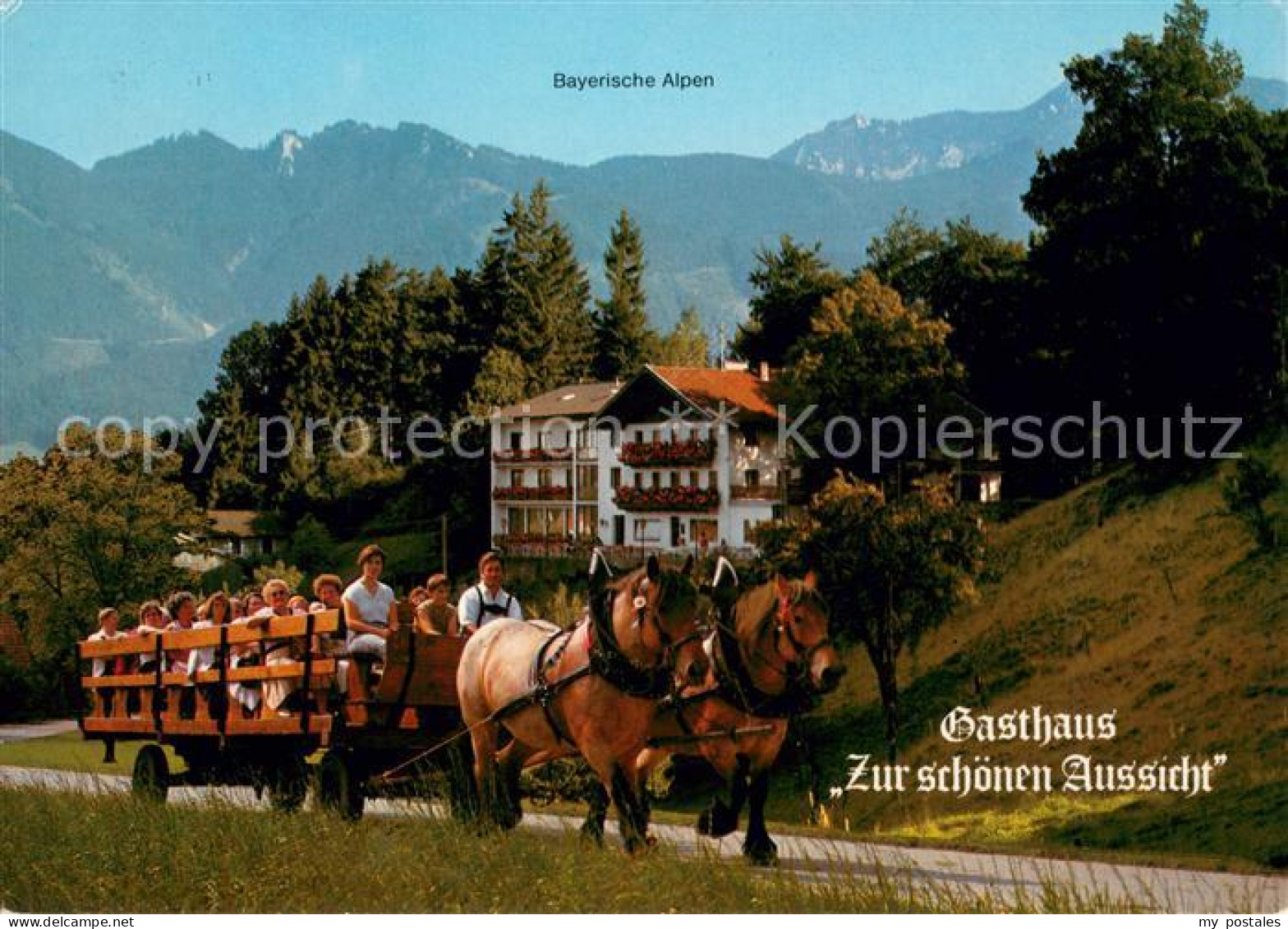 73645952 Westerbuchberg Gasthaus Zur Schoenen Aussicht Bayerische Alpen Pferdewa - Autres & Non Classés