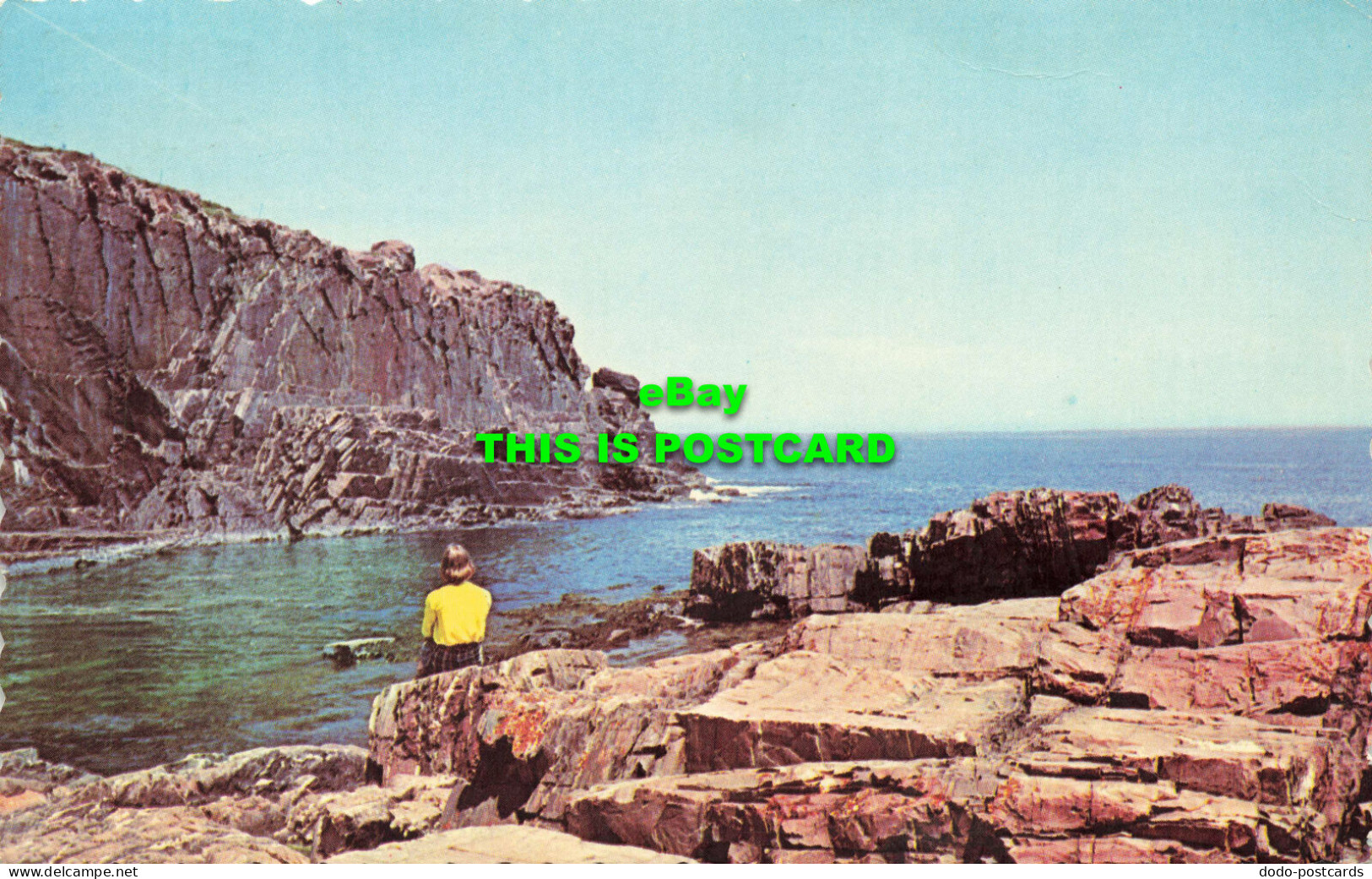 R575639 Bald Head Cliff. Ogunquit. Maine. David Snyder. Dexter Press. Eastern Il - Monde