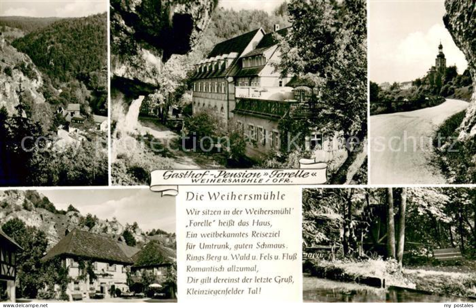 73645690 Weihersmuehle Weismain Gasthof Pension Forelle Landschaftspanorama Part - Altri & Non Classificati